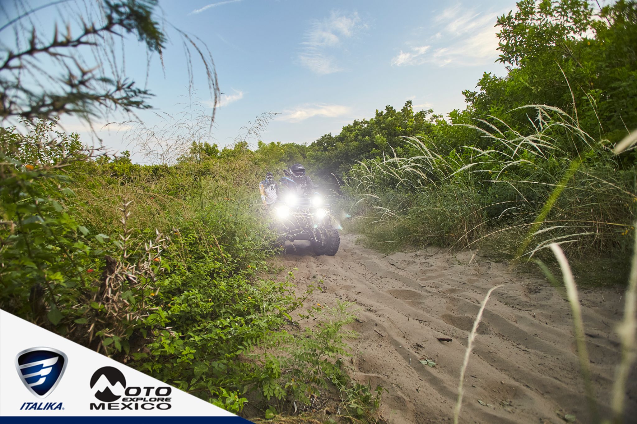 ITALIKA CHACHALACAS D1 367